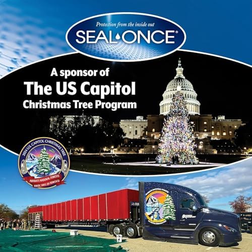 Seal-Once Nano Clear Penetrating Wood Sealer - Premium Waterproof Sealant (Quart)