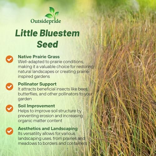 Outsidepride Perennial Little Bluestem Grass Seed - 1 lb. Warm Season, Drought Resistant, Long-Lived Native Prairie Grass Seed, Ideal for Erosion Control, Ornamental Landscaping & Wildlife Gardens