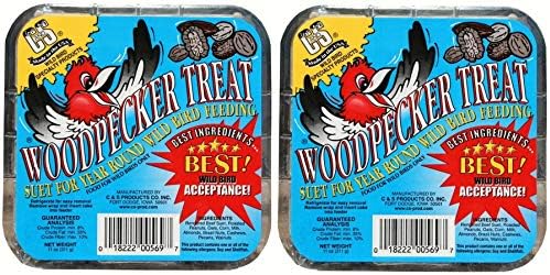 C & S Products Woodpecker Treat Beef Suet,Corn,Oats,Peanuts,Pecans 11 Oz