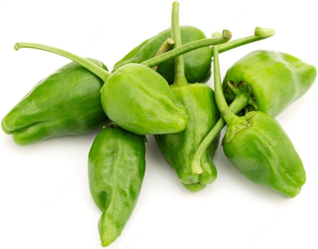 Pimientos DE Padron-100 Seeds (Padron Pepper)- Hot/Sweet/Mild,Spanish Heirloom !