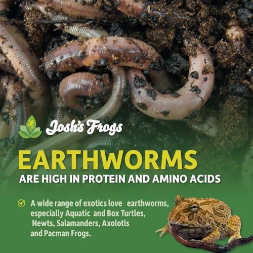 Josh's Frogs Nightcrawlers/Earthworms - 'Lumbricus terrestris' (16 oz)