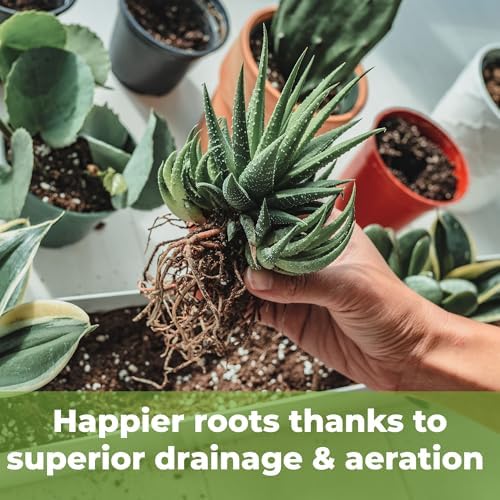 Perfect Plants Succulent & Cactus Soil, 8 qt, Organic Potting Mix | Fast draining blend of peat moss, composted pine bark, perlite and lime for the dry roots cacti love, resealable bag