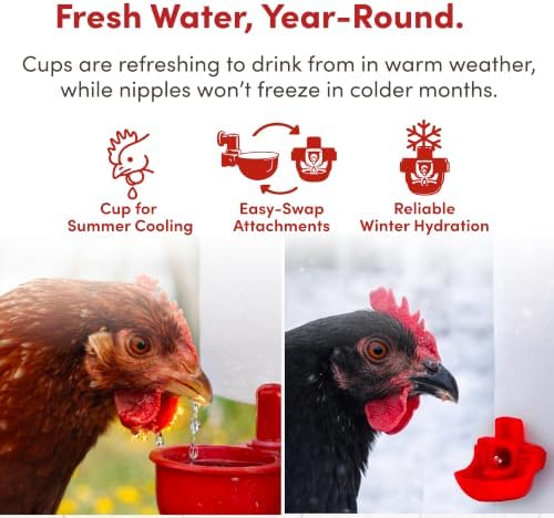 RentACoop 2 Gallon High Rise Chicken Waterer with Cups & Nipples
