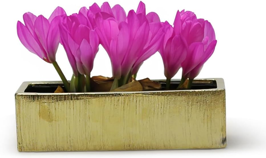 WGVI Long Rectangle Ceramic Planter Vase in White 14" x 4" x 4"H, Rectangular Box Block Terrarium Pot, Flower Arrangement, Tabletop Centerpiece