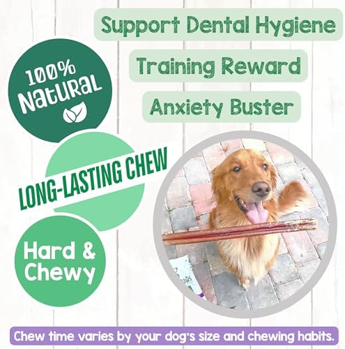 Nature Gnaws Bully Sticks 11-12" Long Lasting Rawhide Free Dog Chews, 8 oz