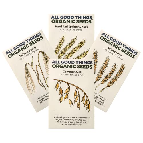 All Good Things Organic Hard Red Spring Wheat Seeds for Planting: 200 Count | Classic Bread-Baking Wheat, High-Protein Hard Red Kernels, Homestead Grain Plot Staple, Doubles as Cover Crop, Non-GMO