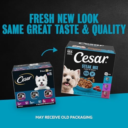 Cesar Filets in Gravy Wet Dog Food, Steak Mix Variety, 3.5 oz, 24 Count | Filet Mignon, New York Strip & Prime Rib, real meat, slow-cooked, no fillers/added sugar/artificial flavors, easy peel trays