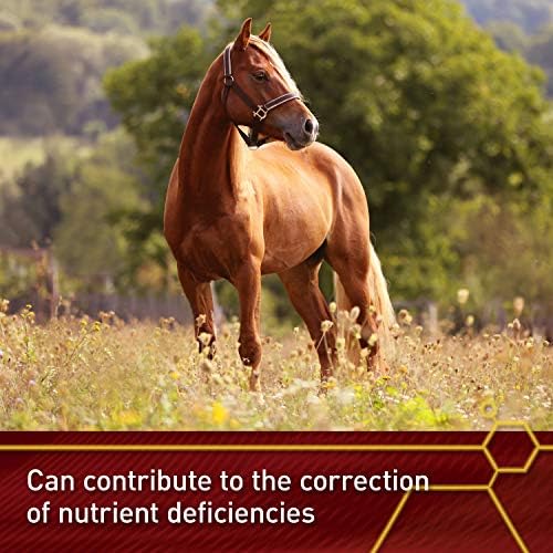 Vita Flex Pro E & Selenium Supplement for Horses, 320-Day Supply | Vitamin E & Selenium Powder, Balanced Antioxidants, Equine Vitamin E Supplement