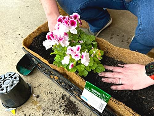 Bosmere F919 Pre-Formed Coco Liner with Soil Moist – 30-Inch Replacement Liner for Window Boxes & Hanging Baskets
