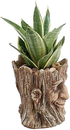Funny Planter Head Face Plant Pot with Drainage Hole Resin Succulent Plant Holder Pencil Holder Desk Organizer Office Garden Gift (Smile Face)