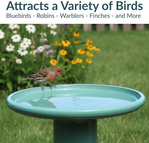 Sunnydaze Hand-Painted Ceramic Outdoor Bird Bath for Garden, 21” H, Seafoam