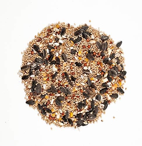 Wagner's 62004 Eastern Regional Wild Bird Food, 20-Pound Bag