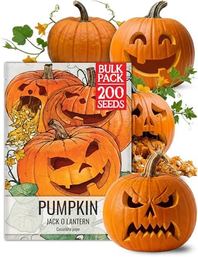 Seed Needs Pumpkin Seeds to Plant 100 Seeds Spooky Mix Non GMO Bulk Pack