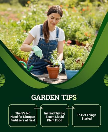 FoxFarm Ocean Forest Potting Soil for Container Gardens - Light, Aerated Texture with Fish Meal, Crab Meal, Earthworm Castings - Houseplant Potting Mix for Seedlings & Plant Starts - 4 x 12 Quart