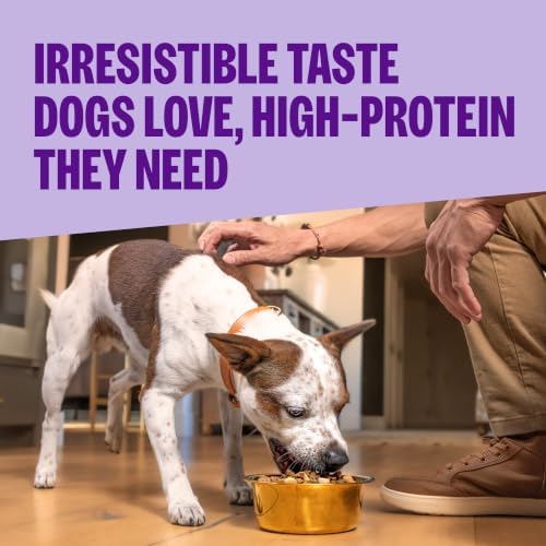 Wellness CORE+ Small Breed Adult Dry Dog Food with Freeze Dried Pieces, Wholesome Grain Kibble+, Natural, High Protein, Turkey and Chicken Recipe, 4 lb Bag