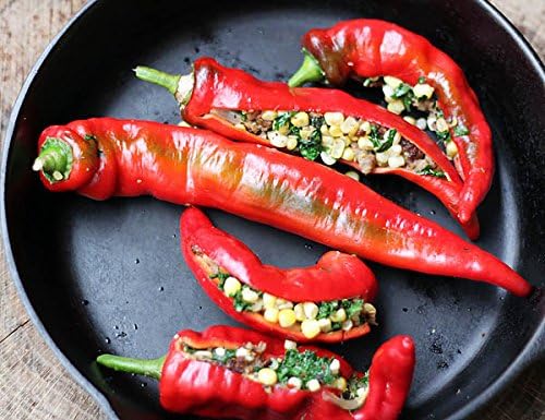 30 Italian Jimmy Nardello's Sweet 12 in. Long Pepper Seeds Heirloom Non-GMO | Prolific, Juicy, Delicious From USA Capsicum annuum