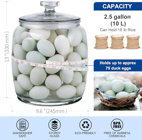 Daitouge 2.5 Gallon Glass Jars with Lids, Wide Opening Large Jar, 1 Pack