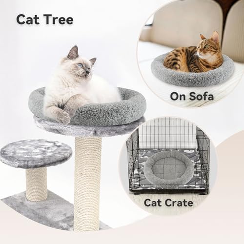 LESYPET Cat Bed for Indoor Cats, Soft Cat Cushion with Cat Pillow Around, Rectangle Kitten Pad Small Bed for Window Sill, 15'' x 10''