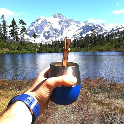 Novomates [NEW] Mate Cup and Bombilla Set - Mate Gourd - Includes Double Wall Stainless Steel Yerba Mate Tea Cup with Stanley Steel Mate Straw –