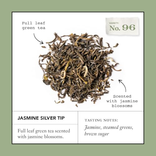Steven Smith Teamaker, Jasmine Silver Tip, Green Tea, 15 Sachets 1.3oz each | Full Leaf Green Tea, Caffeinated, Sugar Free, Sustainably Grown