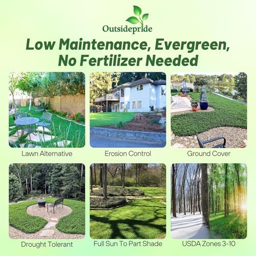 Outsidepride Perennial White MiniClover Seed - 1/4 lb. Dwarf, Small-Leaved, Drought & Wear-Tolerant Micro Clover Seeds for Lawn, Ideal Low-Maintenance & Easy to Grow Ground Cover Seeds for Home Yard
