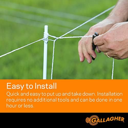 Gallagher Garden & Backyard Pet Protection Kit | Solar Electric Fence Kit for Deer, Rabbits