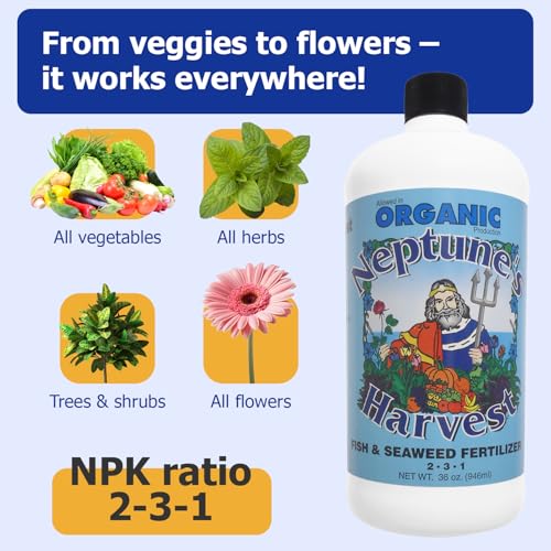 Neptune's Harvest Fish & Seaweed Liquid Fertilizer (2-3-1) - 36oz Bottle - Plant Food for Garden - Indoor & Outdoor Organic Plant Fertilizer for
