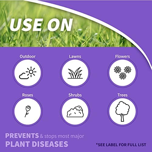 Bonide Infuse Systemic Disease Control Lawn & Landscape | 32 oz Ready-to-Spray Fungicide for Turf & Ornamentals