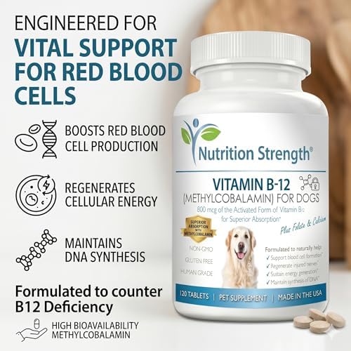 Vitamin B12 for Dogs Plus Folate & Calcium, Support the Nervous System & Blood Cell Formation