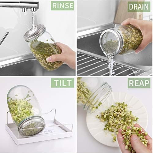 Sprouting Jar Kit-2 Wide Mouth Quart Mason Jars with 316 Stainless Steel Screen Sprout Lids, Drip Tray, Stand | Seed Sprouter Set for Growing Broccoli