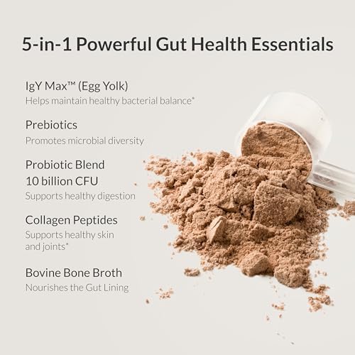 Microbiome Breakthrough Gut Support Powder Chocolate Flavor With Lactobacillus Strains