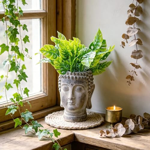 Newman House Studio Face Cactus Succulents Planter Pot - Indoor Outdoor Planter with Drainage Hole Garden Statues Cute Plants Pot Flower Pot