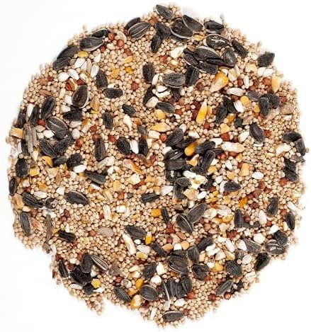 Wagner's 62008 Western Regional Blend Wild Bird Food, 20-Pound Bag