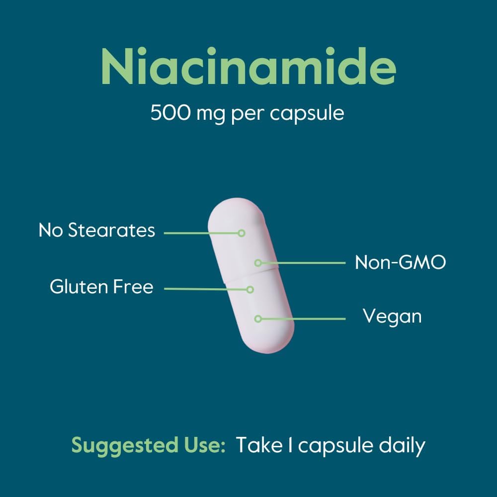 BESTVITE Filler-Free Niacinamide 500mg (240 Veg Caps) - Flush Free VIT B-3 | No Stearates - Vegan - Non GMO - Gluten Free - Non-Flushing Vitamin B3