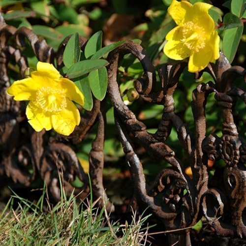 Esschert Design Lawn Edging, 11.505 by 0.468 by 12.207-Inch