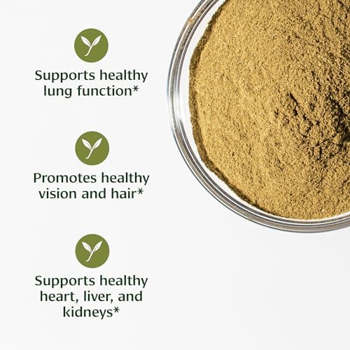 Banyan Botanicals Bibhitaki Powder - Certified Organic, 1/2 Pound - Terminalia belerica - Detoxification and Rejuvenation for kapha*