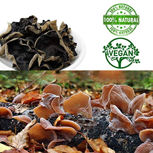 DOL Natural Dried Lotus Seeds Packed In USA 莲子干 8 Ounce, 100% Natural, Dried White Lotus Seeds Lian ZI, Rich In Methionine for Health