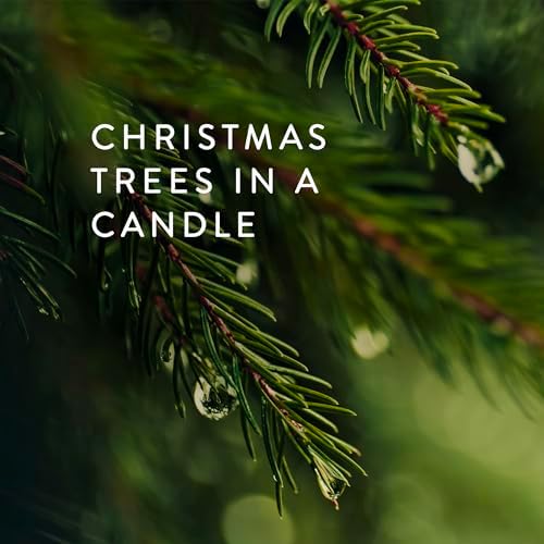 Thymes Frasier Fir Candles - Statement Collection - Silver with Pine Needle Design - Scented Candles for Home Decor - Notes of Siberian Fir Needles, Cedarwood & Sandalwood - Large 4 Wick (40 oz)