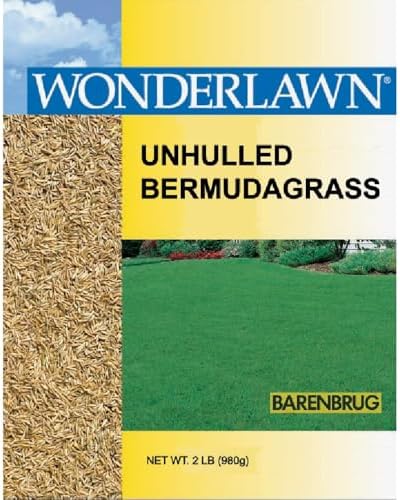 Barenbrug USA 81202 Bermudagrass Grass Seed