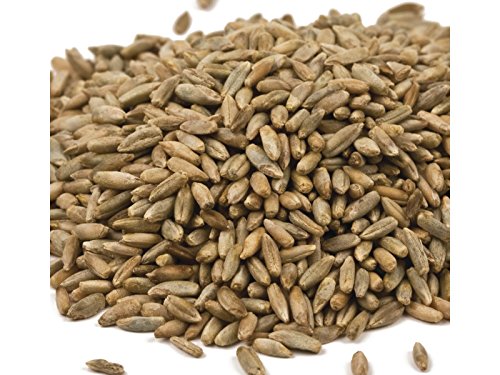 Organic Rye Berries 25 lbs.