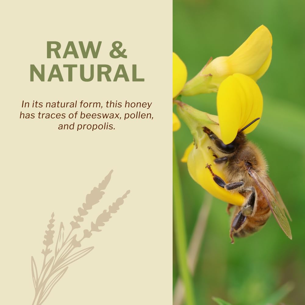 Oneroot 100% Canadian Wildflower Honey - 1.1 lbs, Unheated & Creamed - Nutrient-Rich, Natural Sweetener with Enzymes - Thick & Pure Raw Unfiltered Honey