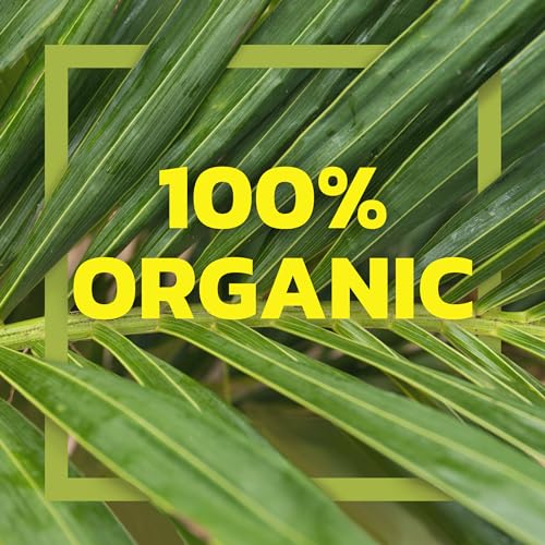 Native Forest Organic Portobello Mushroom Slices - 6.5 Oz (Pack of 12) | Canned Mushrooms, Low Calories & Fat, Non-GMO Project Verified, USDA Organic