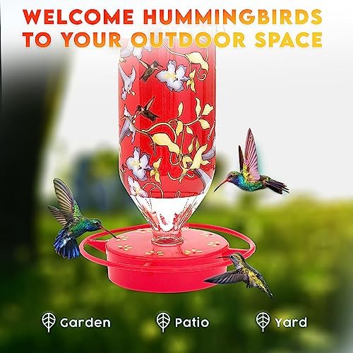 Hummer's Galore Hummingbird Feeders for Outdoors Hanging, Glass, 32 OZ, Vine Design