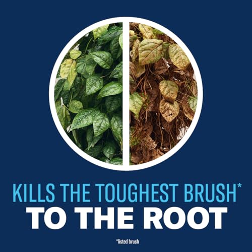 BioAdvanced Brush Killer Plus Concentrate - Mix & Spray - Kills Tough Brush like Poison Ivy and Kudzu - Visible Results in 1-6 Weeks - Rainproof in