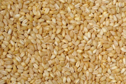 Pearled Wheat (ND), 4lbs (2 Pack)