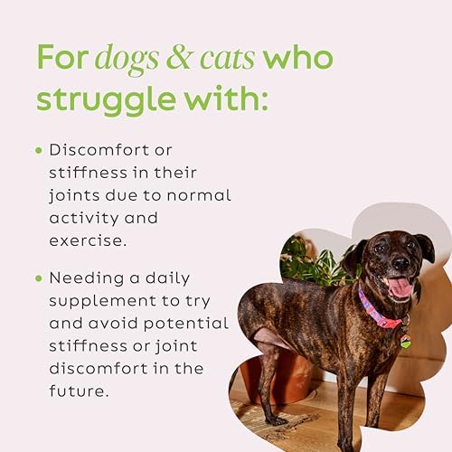 Joint Power Supplement Powder for Dogs & Cats, 2.64 oz Jar | Joint Supplement Powder made with 100% Green Lipped Mussels to Support Joints, Tendons, and Ligaments