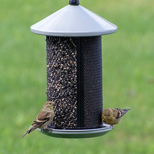 Perky-Pet Dual Mesh Wild Bird Seed Feeder - Holds up to 2.85 lb Wild Bird Seed - Dual Compartment for Seeds and Thistle - TSS00349