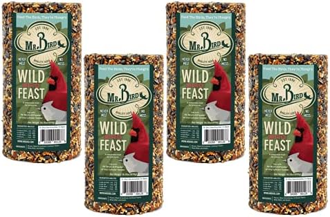 Mr. Bird WildBird Feast Cylinder, 1-Pack, 4 lbs | Wild Bird Seed for Outside Feeders | Premium Blend of Pecans, Sunflower Hearts & Millet | No Mess, No Melt