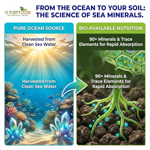 Ocean Magic Sea Mineral Fertilizer by GS Plant Foods(1 Gallon) - Soil Mineral Health Improvement Liquid Concentrate - Sea Minerals for Lawn and Turf, Gardens & House Plants