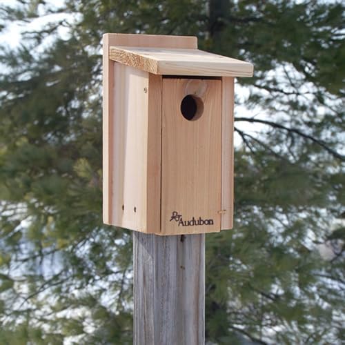 Woodlink NABB Audubon Cedar Bluebird House